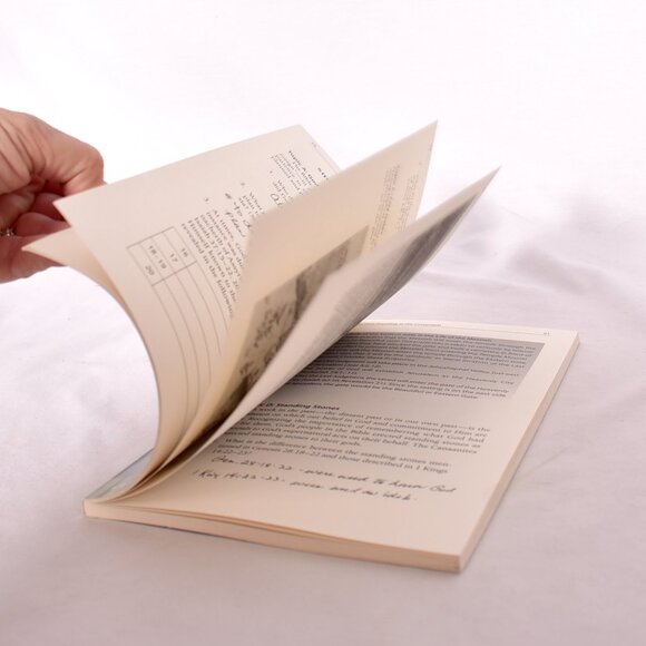 Faith Lessons on the Promised Land Paperback Raynard Vander Laan - Picture 6 of 11